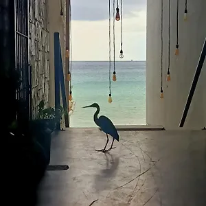 Hostel Auikyani, Cozumel